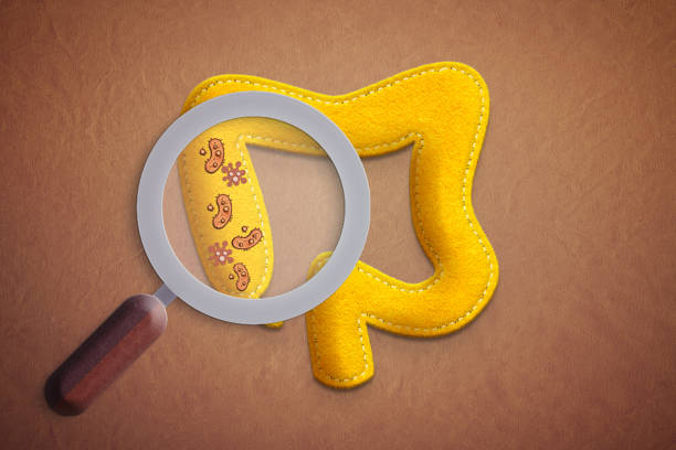 The Ultimate Guide to Probiotics